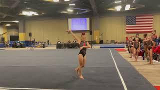 Level 6 Floor Routine 9.200