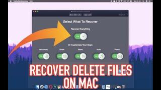 How to Recover Files on Mac with Stellar Data Recovery Standard