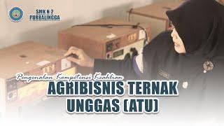 Pengenalan Agribisnis Ternak Unggas ATU SMK N 2 Purbalingga