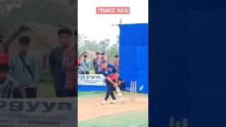 Prince Maxwell Batting  #short #cricket #reels  #viralvideo