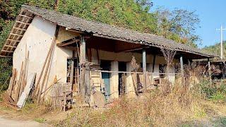 The Man Renovating an Abandoned House in the forest  Transform the garden