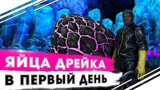 Соло Аберрация в ARK  Яйца ДРЕЙКОВ в ПЕРВЫЙ ДЕНЬ игры в АРК  Как приручить СКАЛЬНОГО ДРЕЙКА в ARK