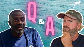 Dolphin Q&A #6