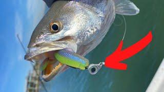 Speckled Trout Tutorial - How To catch Fish Every Cast