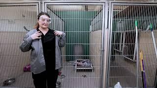 Shelter Medicine ASPCA Deep Cleaning a Dog Kennel