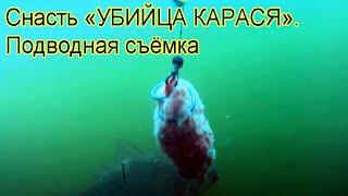 Снасть «УБИЙЦА КАРАСЯ». Подводная съемка рыбалка. Ловля карася на озере Карасун. Fishing