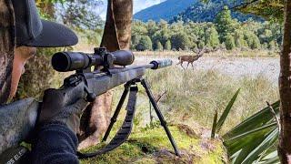 MEGA Deer Ambush Hunt 7 Days in a Rut Wilderness Camp