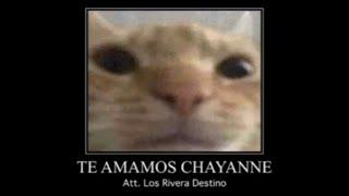 Los Rivera Destino - Chayanne Forever Visualizer  Memes del Futuro