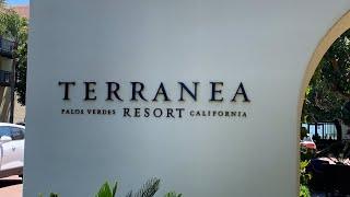 Terranea Hiking During Superbloom Season in the Beautiful Coastal Resort in Rancho Palos Verdes