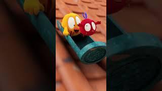 ¡Viva el trineo #funnyanimals #Shorts #Chicky  Cartoon for kids