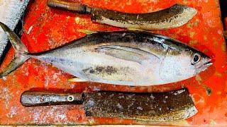 Giant Tuna Fish Cutting Skills Live In Fish Market  Fish Cutting Skills