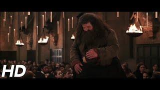 Theres no Hogwarts without you Hagrid  Harry Potter and the Chamber of Secrets