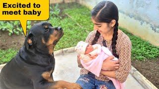 Dog meeting baby for the first timejerrys reaction video.