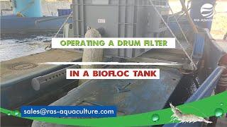 Drumming Up Success Biofloc Tank Shrimp Farming with Filter Testing