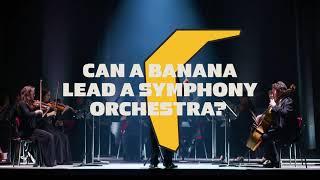 Equifruit Fairtrade bananas  Can a banana lead a symphony orchestra?