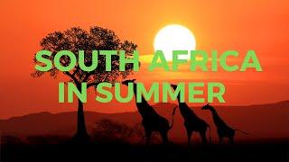 Discover South Africa 10 Must Visit Places in Summer