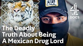 ⭐️ BAFTA NOMINATED ⭐️  Drugs Death And Pet Tigers Cartel Lifestyle Revealed  Kingpin Cribs