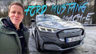 Ford Mustang Mach-E  Der Elektro-Schocker  Autobahn Zeiten Hausstrecke  Matthias Malmedie