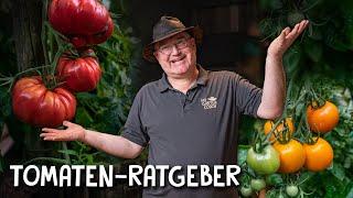 Die besten Tomatensorten für DEINEN Garten  - Freiland Balkon & Gewächshaus