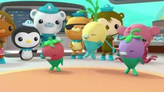 Octonauts Creature Report Compilation - Series 3