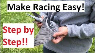 Make Pigeon Racing Easy  Step By Step