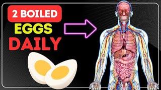 What Happens if You Eat 2 Boiled Eggs Everyday ?