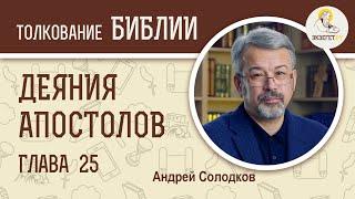 Деяния Святых Апостолов. Глава 25. Андрей Солодков. Новый Завет