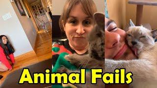  Funniest  Dogs And Cats   Try Not To Laugh   Best Of The 2021 Funny Animal Videos