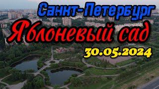 Питер Яблоневый Сад - 30.05.2024