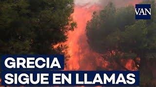 Los incendios en Grecia dejan al menos 50 muertos y centenares de heridos