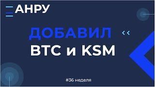 #36 неделя добавил BTC и KSM