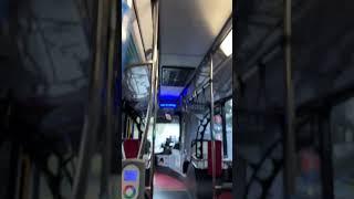 Pressing the bus stop button on Iveco Metro Bustech VST #sydneybuses #shorts