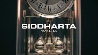 Siddharta - 1Minuta Official Video