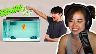 Maya reacts to I Gave My Goldfish $50000 to Trade Stocks - Michael Reeves