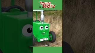 Big Machines  NEW Tractor Ted Episode Out Now #tractorted #bigmachines #shorts