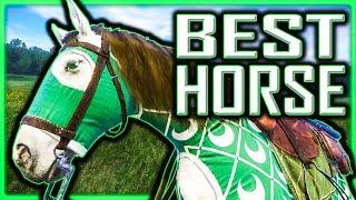 BEST Horse & BEST Horse Gear FOR FREE Technically - Kingdom Come Deliverance