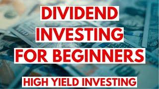 Dividend Investing for Beginners Your First $1000 in High Yield Stocks