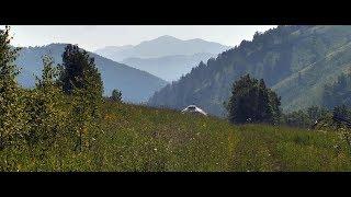 Eco-village in Altai - The Chachzhaevka Ivan Chay herbs LOMO anamorphic BAS lens