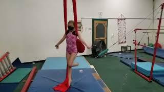 YMCA of McDonough County Gymnastics Winter Holiday Virtual Show