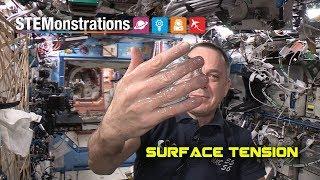 STEMonstrations Surface Tension