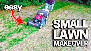 How to RENOVATE a SMALL LAWN - Cheap & Easy