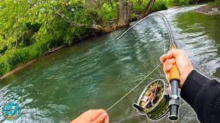 STREAMER FLY FISHING FOR GIANT BROWNS  Best Day of Trout Fishing