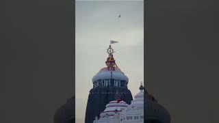 Flag changing ritual of Shree Jagannath temple puri ️#shorts #shortvideo #youtube #jagannath