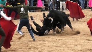 Suelta de Toros Bravos Villacastín 2024