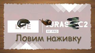 Русская Рыбалка 3 - стрим