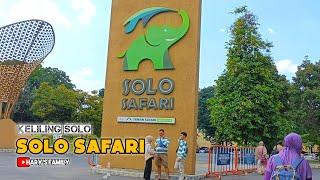 Go to Solo Safari  HARYS FAMILY