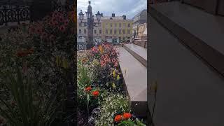 The beautiful place in Helsinki Finland July2024️🪴️