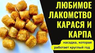 Насадка для рыбалки на КАРАСЯ и КАРПА. Работает в любое время года.