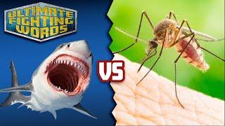 SHARK vs MOSQUITO Whose Bite is Worse?  ULTIMATE FIGHTING WORDS