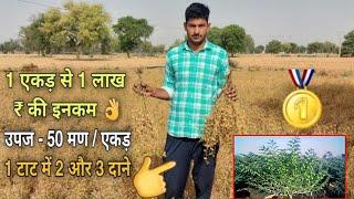 चने की No.1 टॉप किस्म  Yield 20 क्विंटलएकड़   Chana High yield Varietyगज़ब फुटाव 2-3 दाने वाली टाट